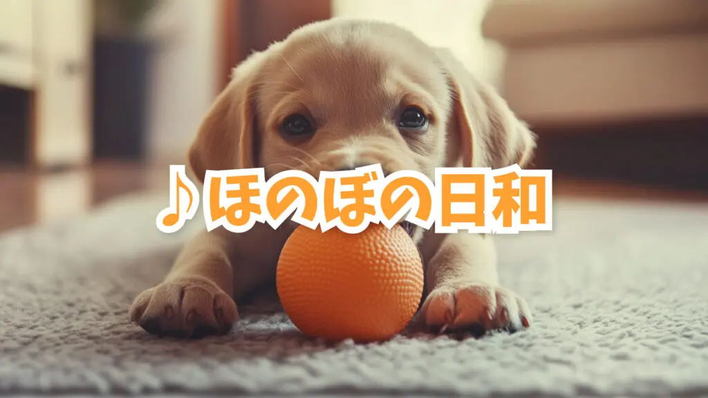 ペットや子供が遊ぶイメージ「ほのぼの日和」