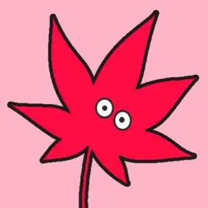 アイコン