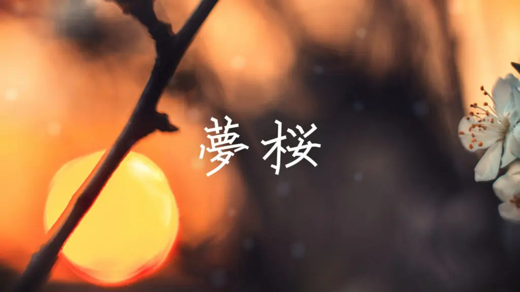 和風/感動「夢桜（Remix ver）」