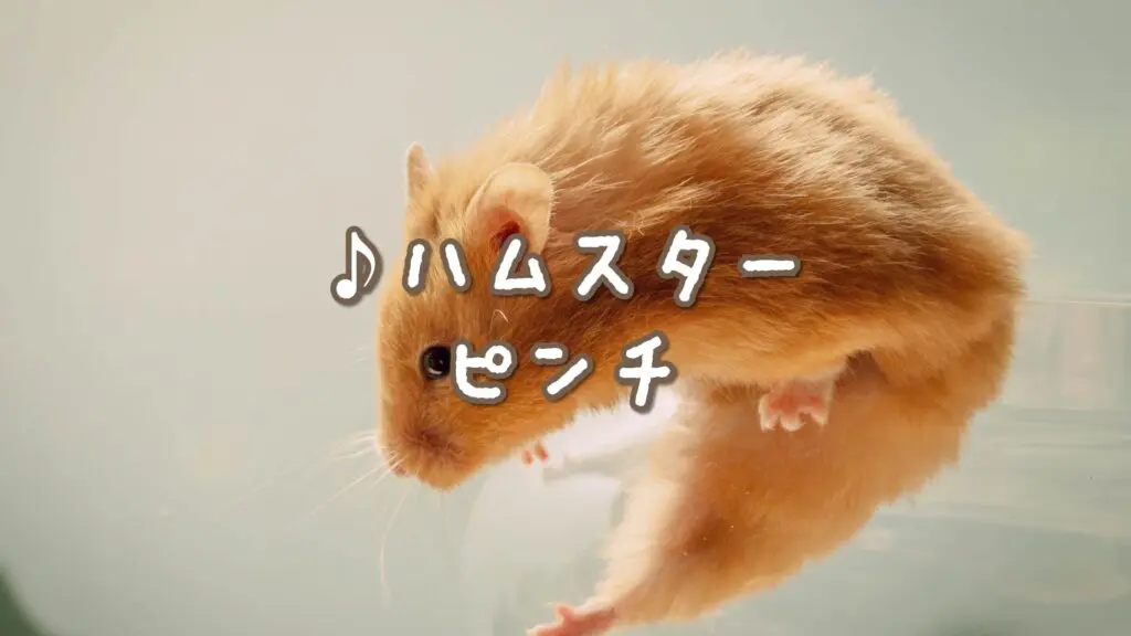 ギャグ/コミカル「ハムスターピンチ」