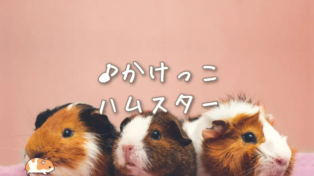 かわいい/ピアノ「かけっこハムスター」