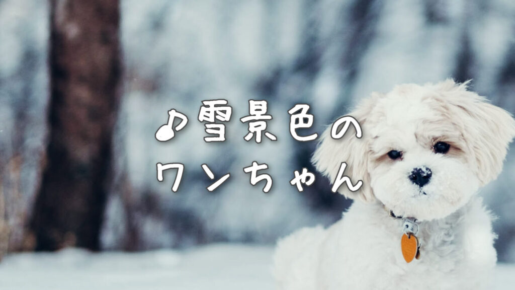 儚い/ピアノ「雪景色のワンちゃん」