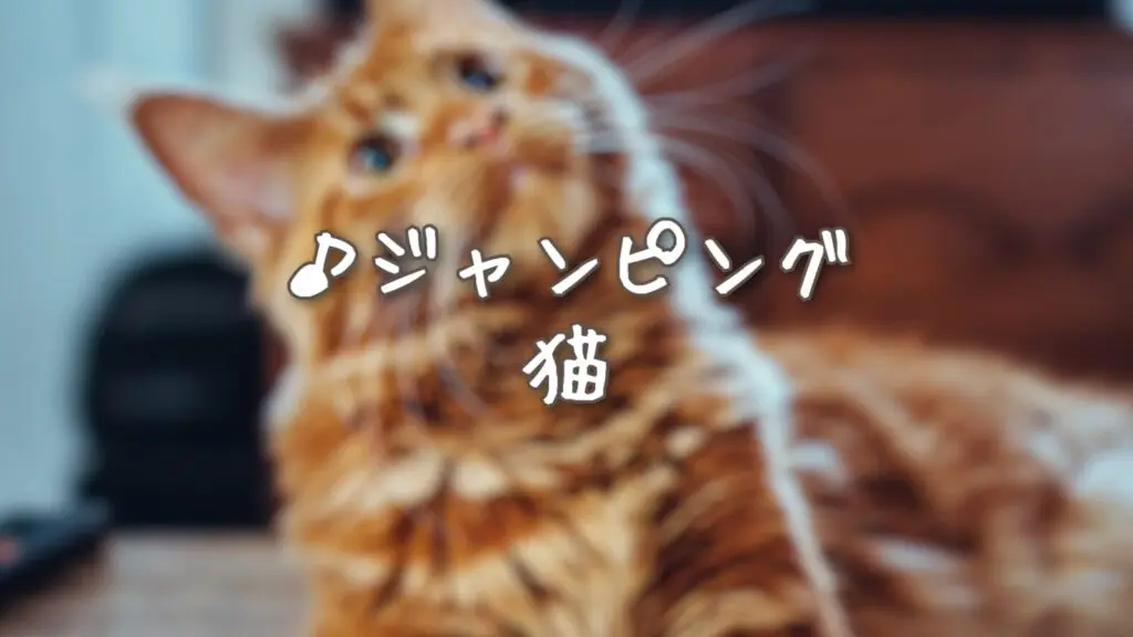 いたずら/かわいい「ジャンピング猫」