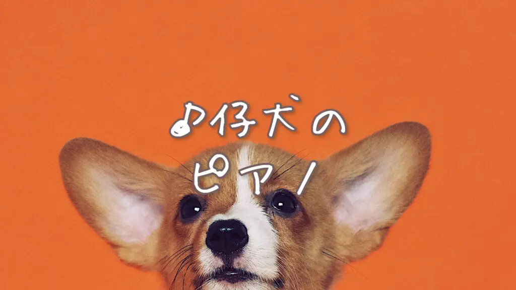 【プレミアBGM】楽しい/軽やか「仔犬のピアノ」