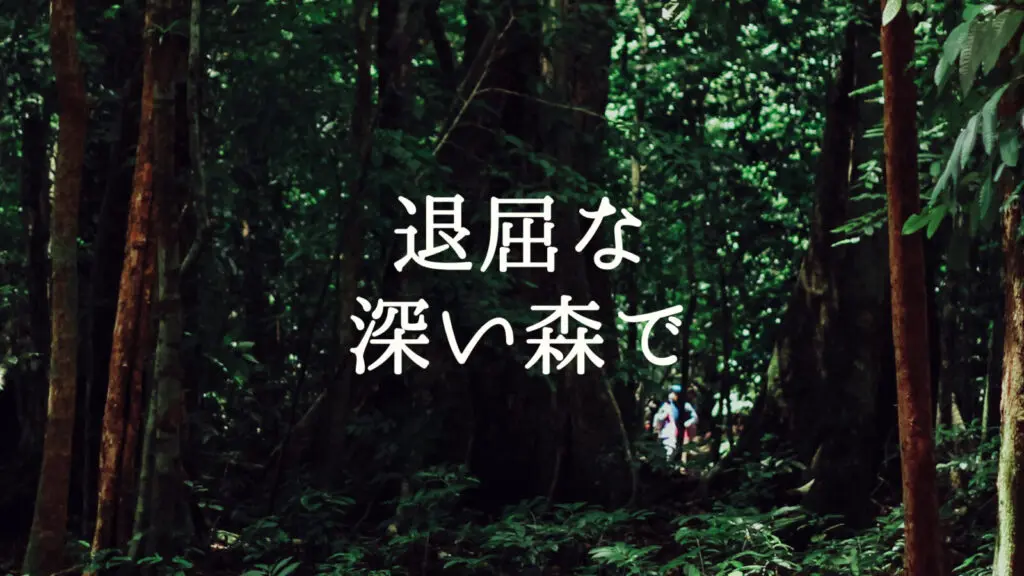 RPG/怪しい「退屈な深い森で」