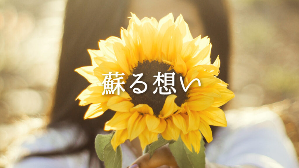 感動/ピアノ「蘇る想い」